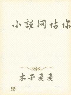 小说网站你懂的