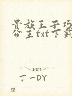 贵族王子巧遇穷公主txt下载