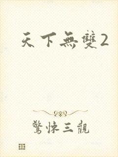 天下无双2