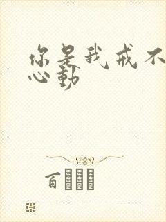 你是我戒不掉的心动