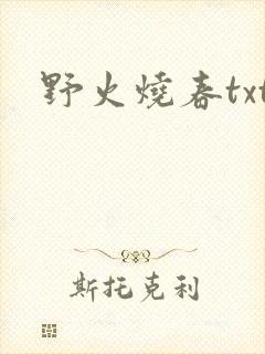 野火烧春txt