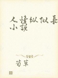人情纵似长情月小说