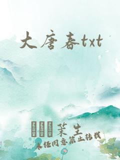大唐春txt