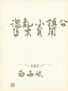 混乱小镇公交车售票员用