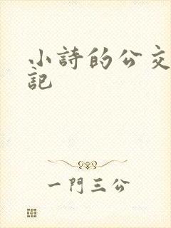 小诗的公交车日记