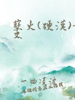 孽火(硬汉)今又