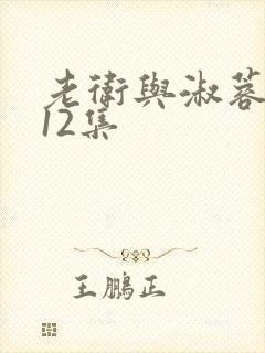 老卫与淑蓉1一12集