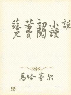 苏若初小说全文免费阅读