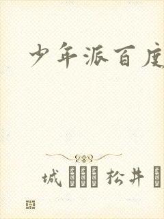 少年派百度百科