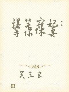 爆笑宠妃：爷我等你休妻