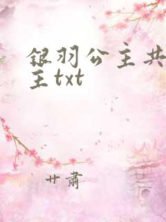 银羽公主共享公主txt