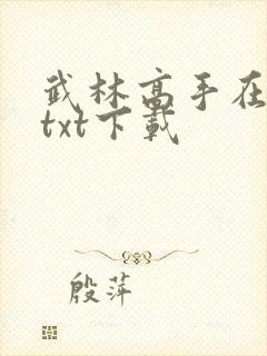 武林高手在校园txt下载