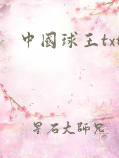 中国球王txt