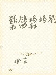 孙鹏妈妈刘淑英第四部