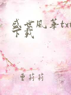 盛世风华txt下载