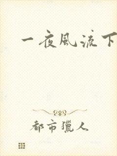 一夜风流下载