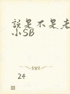 说是不是老公的小SB