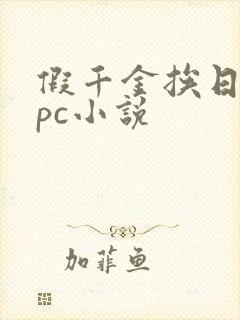 假千金挨日记npc小说