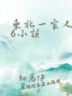 东北一家人1一6小说
