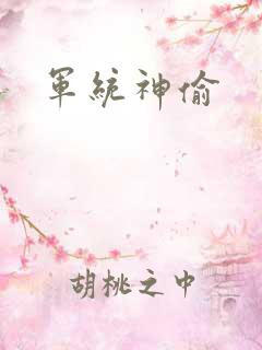 军统神偷