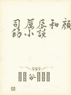 司厉辰和颜辞兮的小说