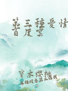 第三种爱情电影百度云