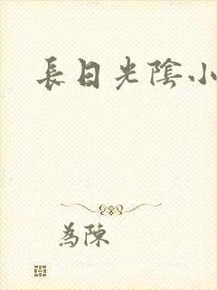 长日光阴小说