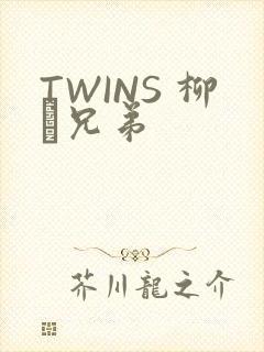 TWINS 柳澤兄弟