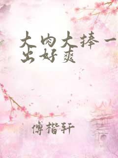 大肉大捧一进一出好爽