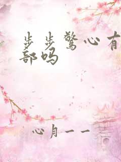 步步惊心有第二部吗