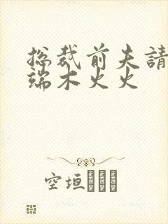 总裁前夫请自重端木火火