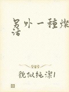 另外一种灿烂生活