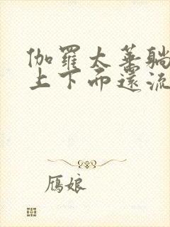 伽罗太华躺在床上下面还流东西