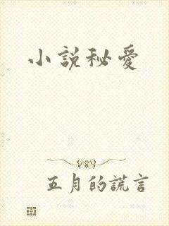 小说秘爱