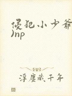 侵犯小少爷(H)np