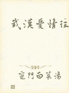 武汉爱情往事