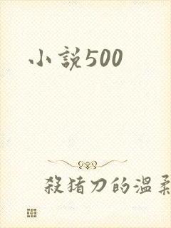 小说500