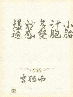 爆炒多汁小美人通感双胞胎燎锋