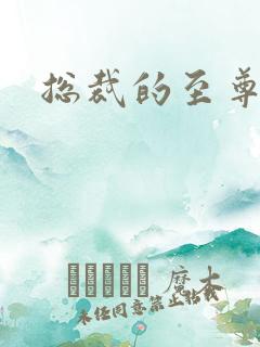 总裁的至尊前妻