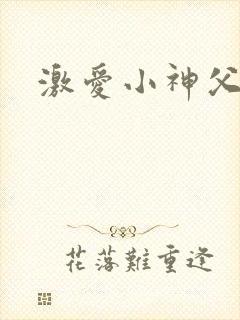 激爱小神父