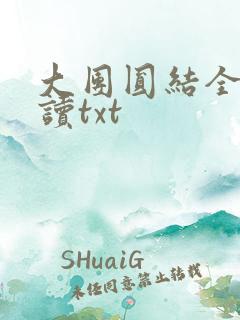 大团圆结全文阅读txt