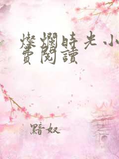 灿烂时光小说免费阅读