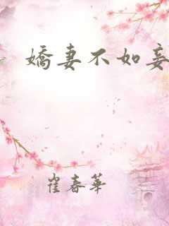 娇妻不如妾