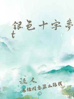 银色十字梦txt