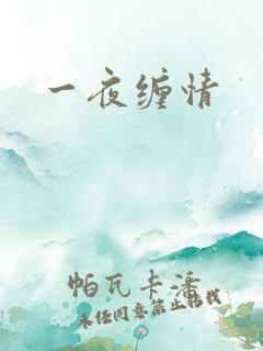 一夜缠情