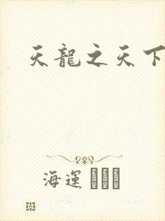 天龙之天下有我