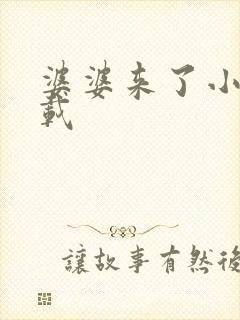 婆婆来了小说下载