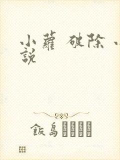 小萝 破除 小说