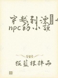 穿越到湮婸世界npc的小说