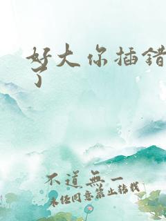 好大你插错地方了